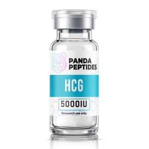 HCG 5000IU - lyophilized powder research compound vial by Panda Peptides