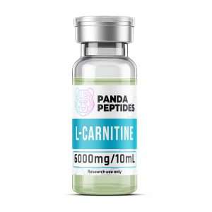 L-Carnitine - sterile solution vial by Panda Peptides